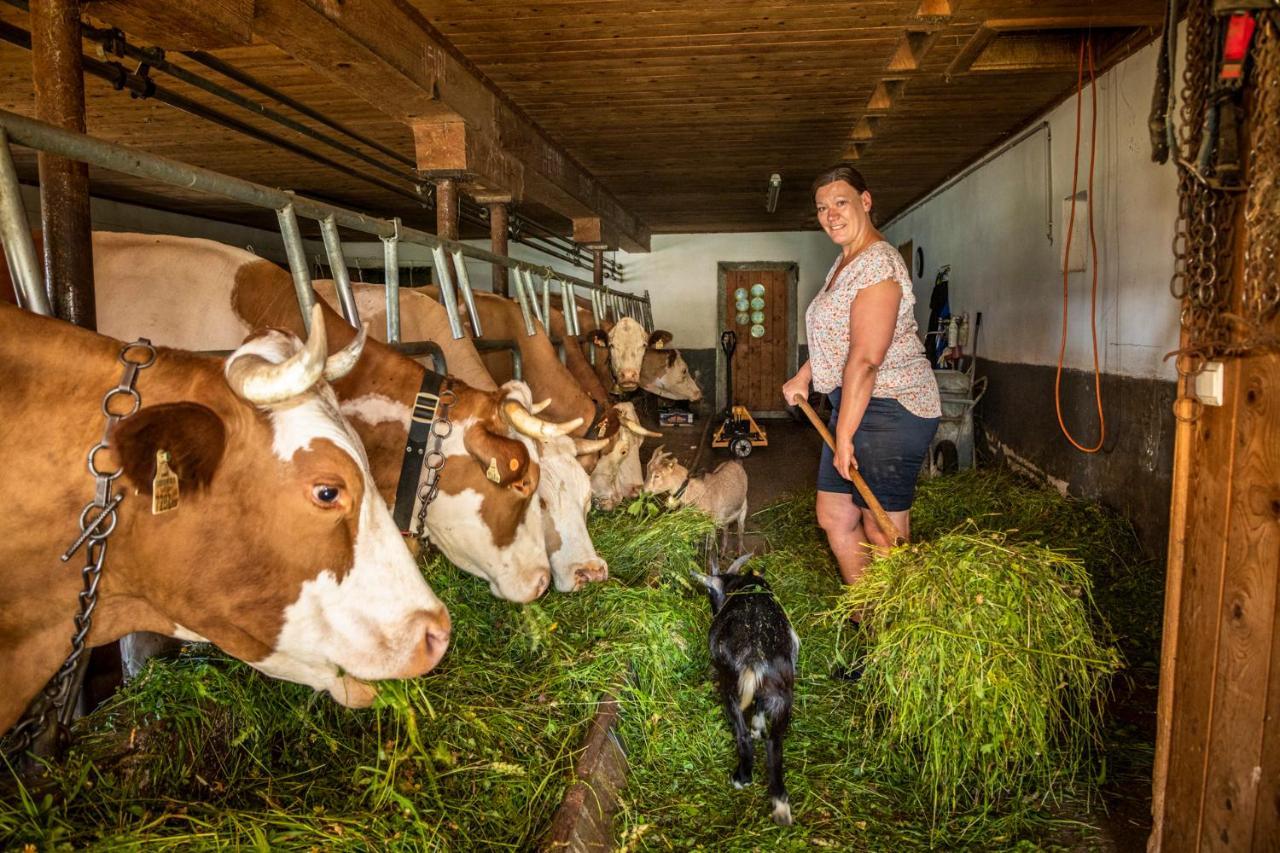 Appartement Reitlhof, Bio Berg Bauernhof Krispl Eksteriør billede